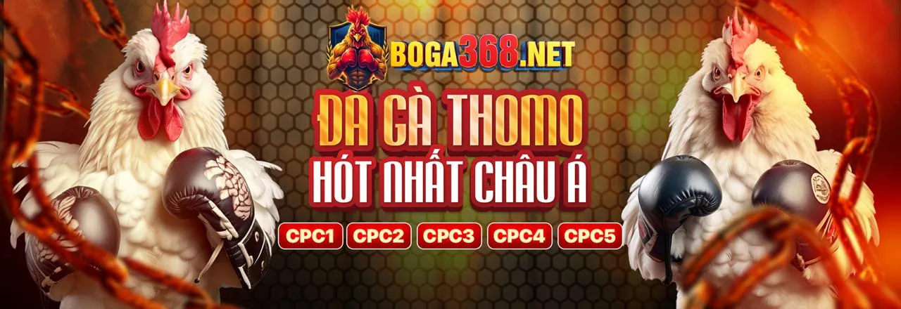 Hình ảnh đối tác m888 trang chủ chính thức với biểu đồ tăng trưởng thu nhập